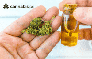 beneficios del cannabis cannabis medicinal en peru cannabis.pe