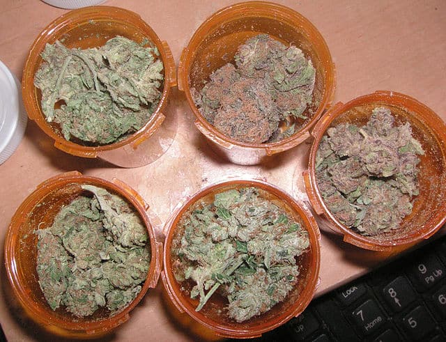 cannabis medicinal cannabis.pe