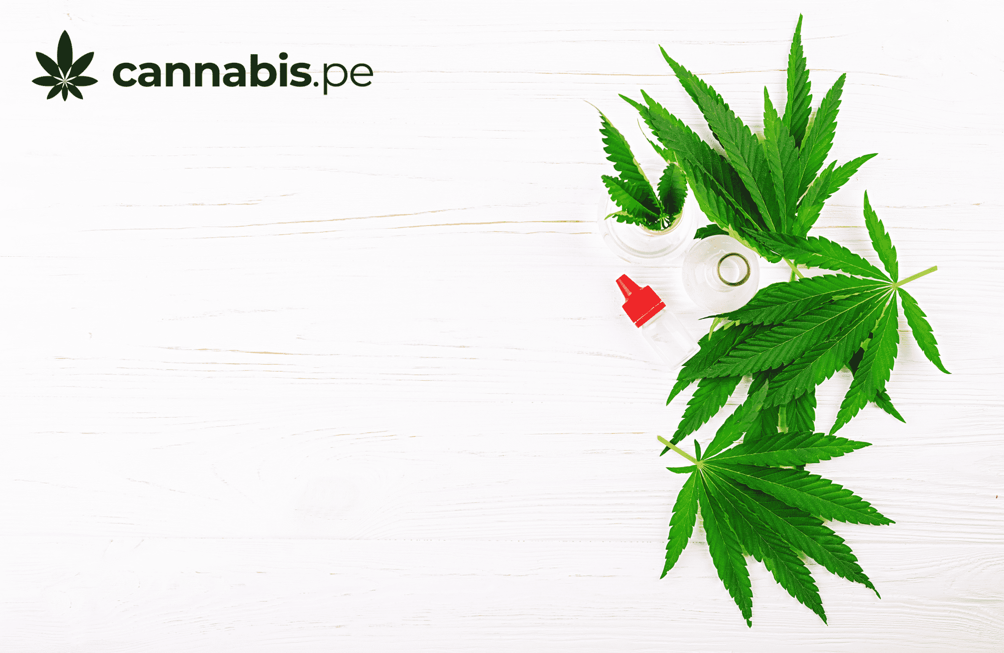 cannabis medicinal y fibromialgia cannabis.pe cannabis medicinal en peru