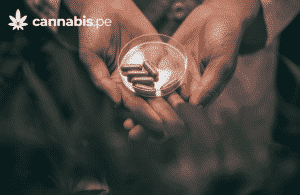 enfermedades que son tratadas con cannabis cannabis.pe cannabis medicinal en peru - cannabis.pe enfermedades que son tratadas con cannabis cannabis.pe cannabis medicinal en peru