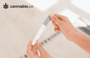 es seguro fumar cannabis durante el embarazo o mientras se amamanta a un bebe cannabis.pe cannabis medicinal en peru - cannabis.pe es seguro fumar cannabis durante el embarazo o mientras se amamanta a un bebe cannabis.pe cannabis medicinal en peru