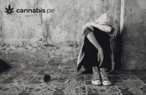hay sintomas de abstinencia al dejar la cannabis cannabis.pe cannabis medicinal