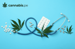 historia del cannabis medicinal cannabis.pe cannabis medicinal en peru - cannabis.pe historia del cannabis medicinal cannabis.pe cannabis medicinal en peru