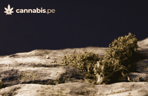 historia del nombre de la marihuana cannabis.pe cannabis medicinal en peru