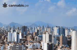 legislacion peruana sobre cannabis cannabis.pe cannabis medicinal en peru