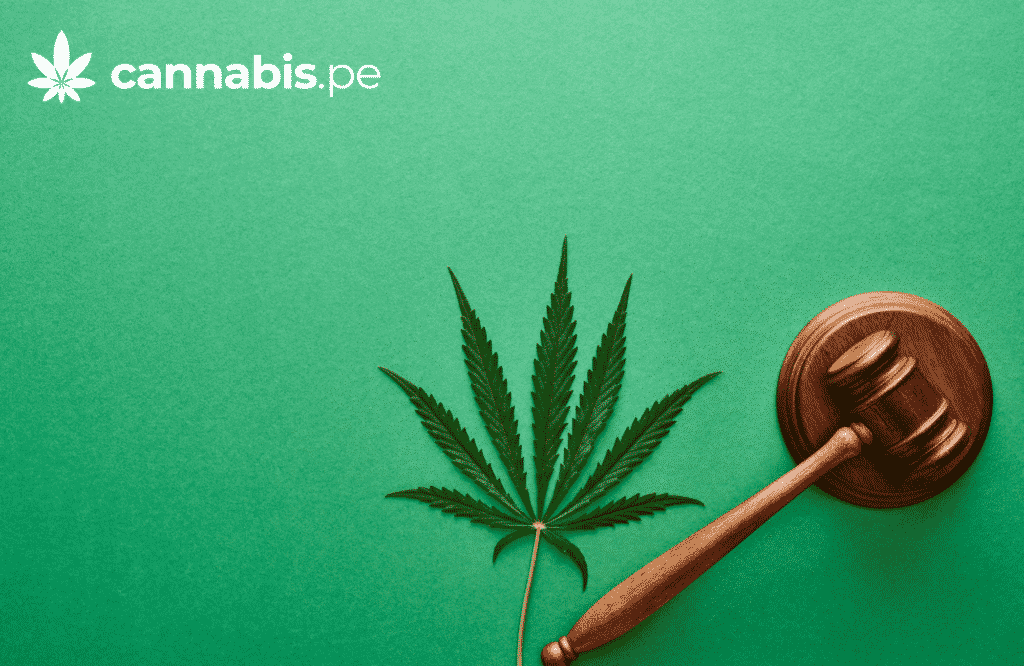 legislacion peruana sobre cannabis ley 31312 cannabis.pe cannabis medicinal en peru