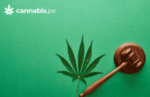 legislacion peruana sobre cannabis ley 31312 cannabis.pe cannabis medicinal en peru