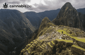 legislacion peruana sobre drogas cannabis.pe cannabis medicinal en peru