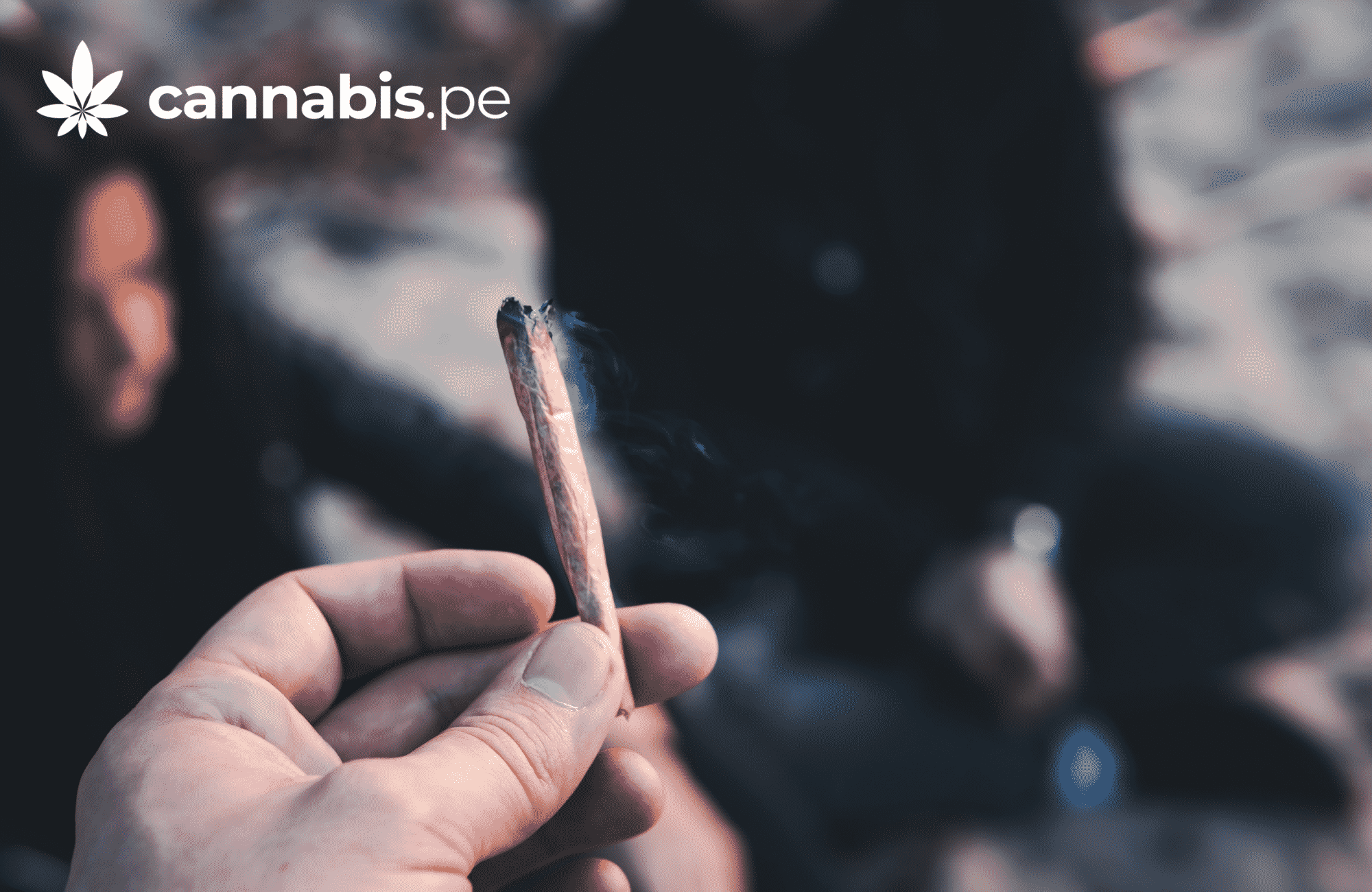 que es el 420 cannabis.pe cannabis medicinal en peru