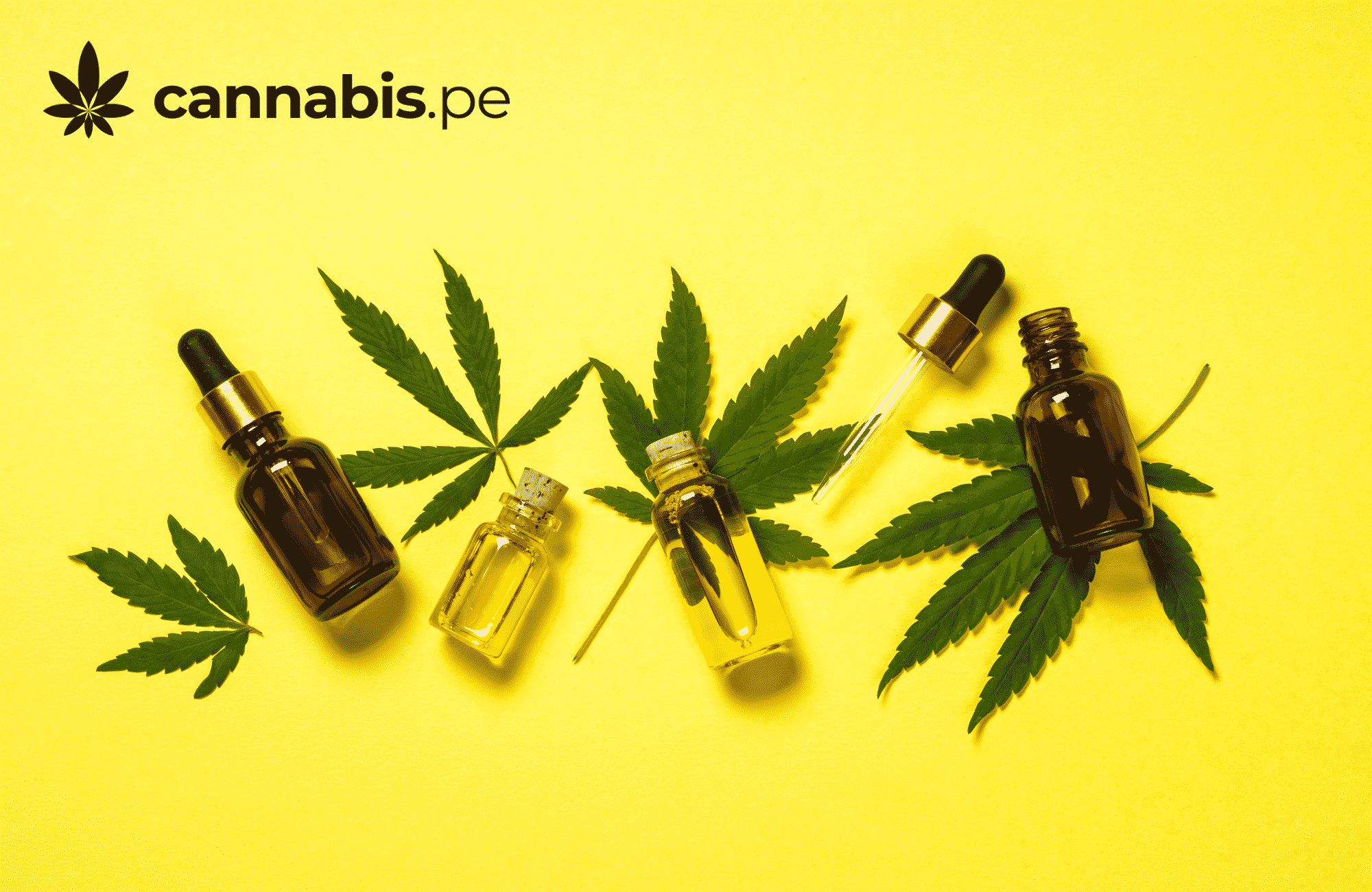 que son los cannabinoides cannabis medicinal en peru cannabis.pe