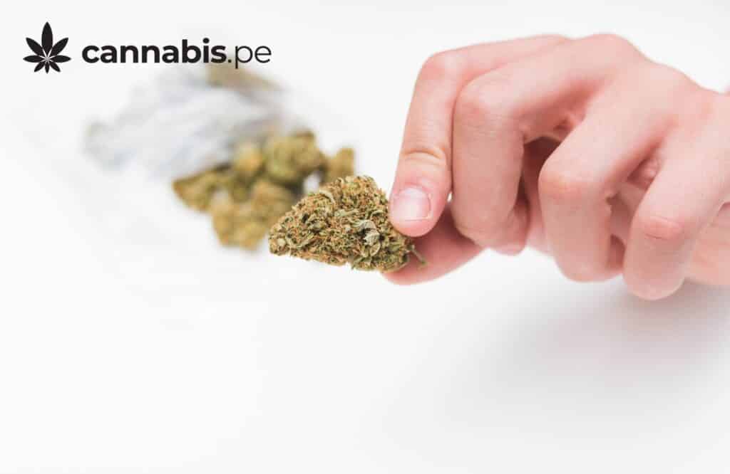 beneficios del cannabis 2 cannabis.pe cannabis medicinal en peru