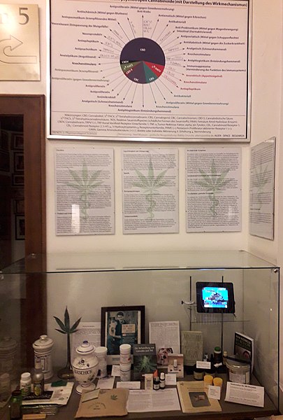 museo cannabis.pe
